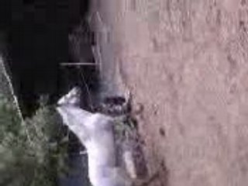 Vidéo0020