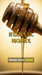 You Won't Believe This Fun Fact!