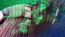 Amazing Chemical mix