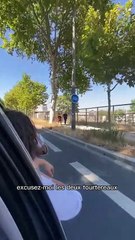 Ils sont trop mignons ❤️📢