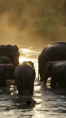 This Changed Everything... 🔄 2#P16