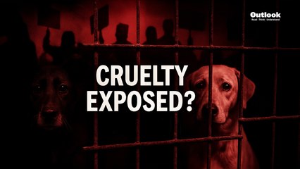 Delhi's Rohini Dog Shelter Protests Erupt Over Alleged Cruelty Claims