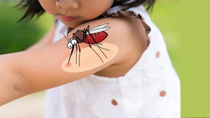 Baby Anti Mosquito Products: बच्चों को मच्छरों से बचाने के लिए क्या करें | New Parents Guide...