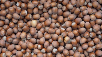 Crolla il raccolto delle nocciole, rincari record