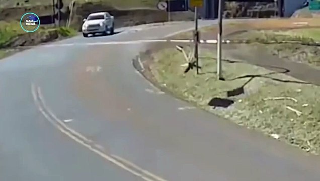 Câmera flagra colisão entre caminhonete e trem em Jandaia do Sul