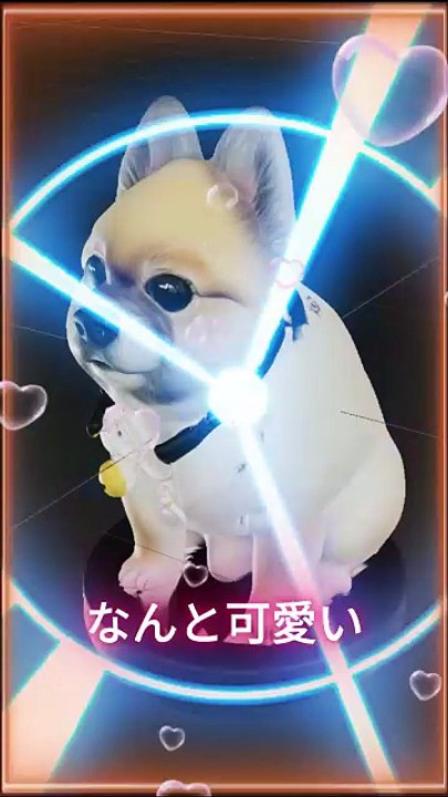 【速報】ポメラニアン漫才師・銀ちゃんのフィギュアが爆誕！発売マジか！？[Breaking News] A figure of Pomeranian comedian Gin-chan has been released! Is it for real?