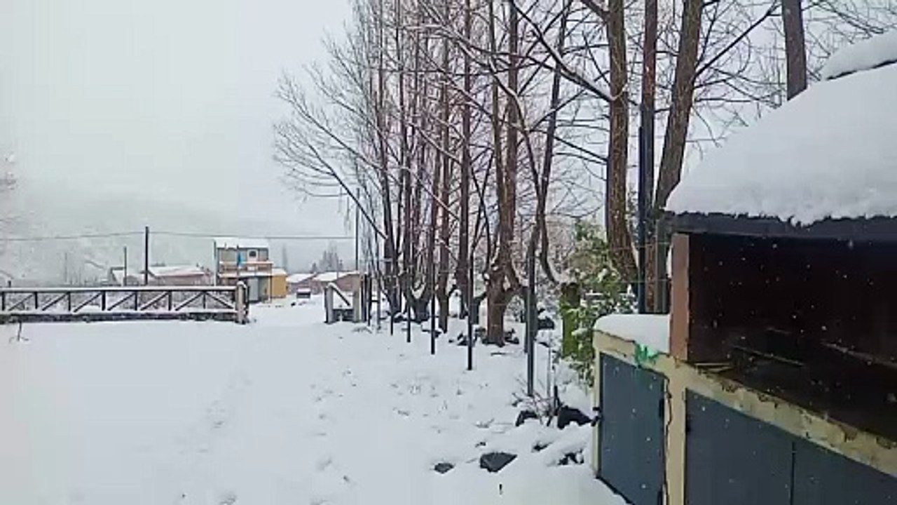 Potrerillos Nevado