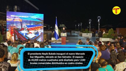 INTERNAUTAS: PREFIERO UNA DICTADURA DE PAZ Y NO UNA DEMOCRACIA DE TERROR Y DOLOR