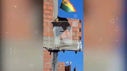 ¡Crueldad extrema! Un perro fue colgado de un edificio en construcción (Video)