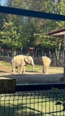 You have a good time discovering funny news