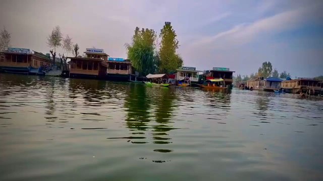 Shikara Ride at Dal Lake Srinagar