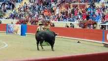 bayona 31-8-2025