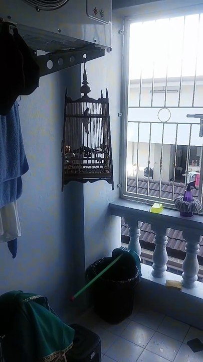 VID_20241113_133804