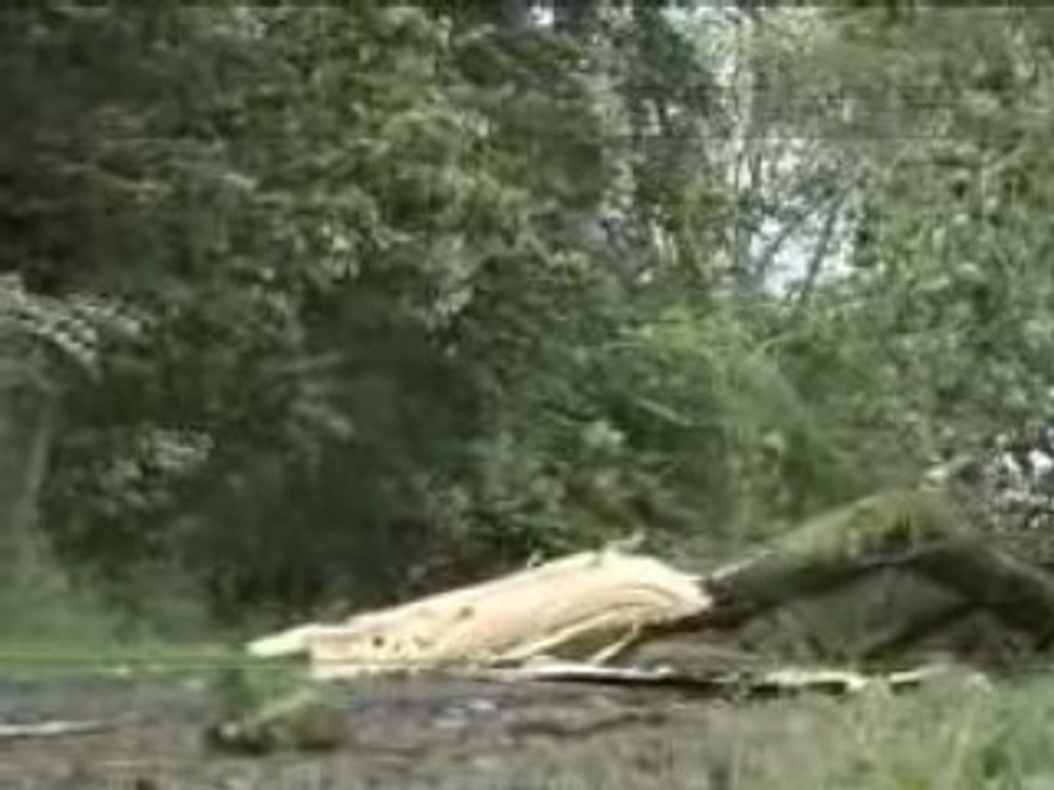 Sturm auf Fehmarn / Ostsee