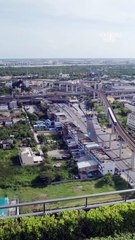 Neon flowers waiting for love cap 9