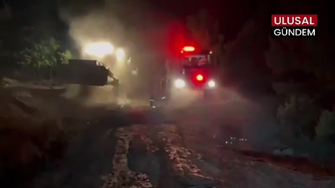 Aydın ve Karabük'te orman yangınlarına müdahale sürüyor