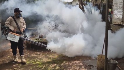 Chiriquí registra más de 600 casos de dengue y cuatro fallecidos