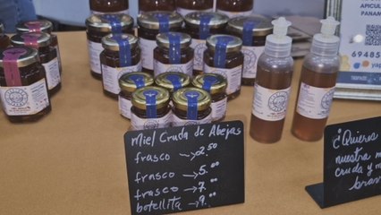 Apicultores panameños muestran potencial de la miel en la Expo Agroindustriales de Santiago