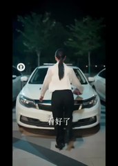 Reborn: The Perfect Alibi