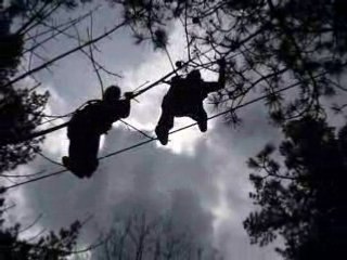 Aprem Acrobranches!!