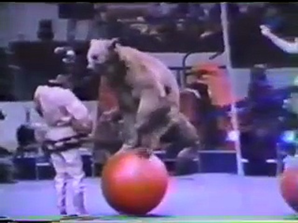 Tourniquet - Ark Of Suffering