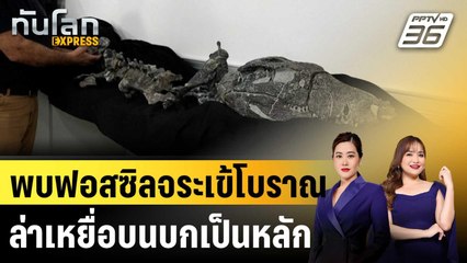 พบฟอสซิลจระเข้โบราณชนิดใหม่ในอาร์เจนตินา|ทันโลก EXPRESS | 1 ก.ย. 68