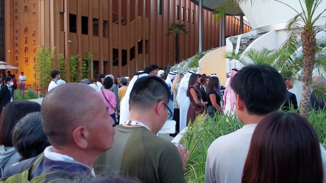 【大阪・関西万博2025】クエイト館の迫力LIVEイベント行ってきた！　[Osaka Kansai Expo 2025] I went to the exciting live event at the Quaint Pavilion!