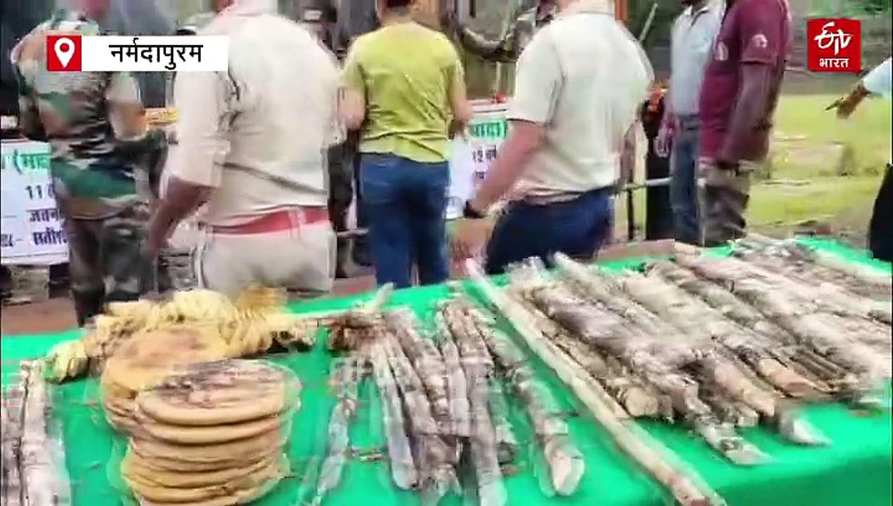 गणेश उत्सव में हाथियों को दावत, STR में 8 दिनों...