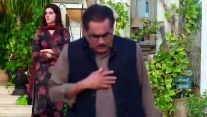 Laadli - Episode 29 - 23rd  August 2025 [ Bilal Qureshi & Vaneeza & Asad Malik & Sukaina Khan ] Har Pal Entertainment