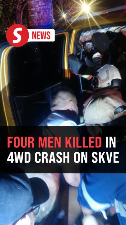 Four men killed when four-wheel drive crashes into tree on SKVE
