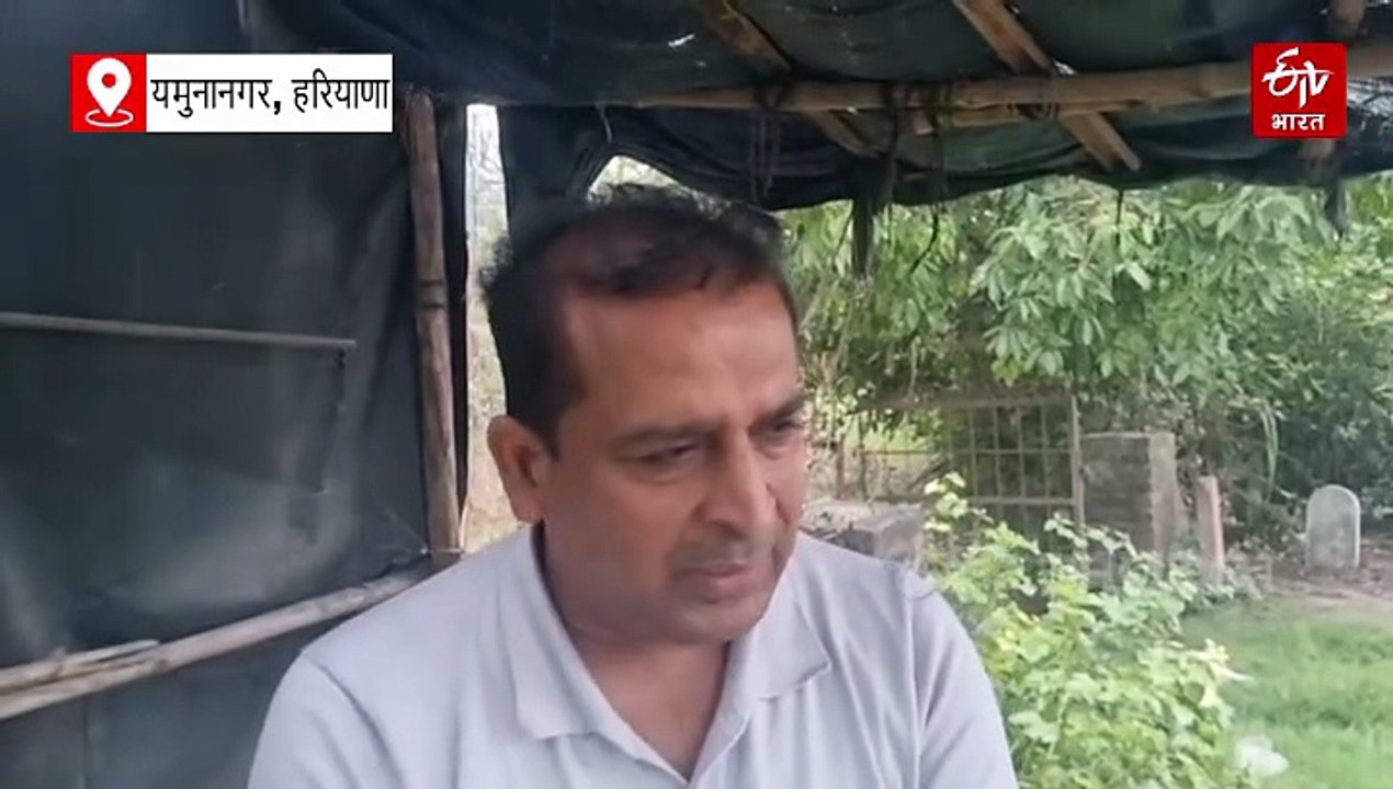 हथिनी कुंड बैराज के सभी फ्लड गेट खोले गए, 45 घं...