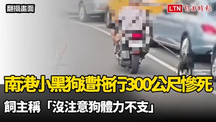 南港小黑狗遭拖行300公尺慘死  飼主稱「沒注意狗體力不支」
