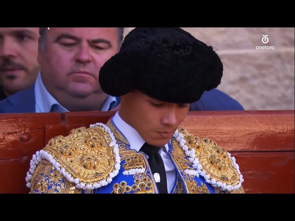 Pedro Luis Plaza de toros de Bayona, Francia