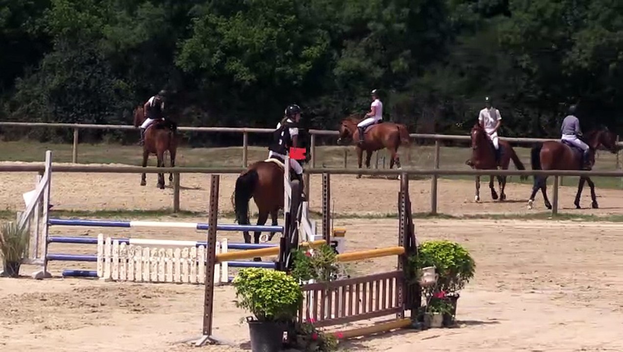 ILE BRAGARD 30-07-2017 Amateur 2 Grand Prix (1,10 m) 25