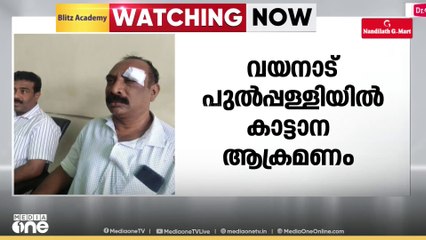 വയനാട് പുൽപള്ളിയിൽ കാട്ടാന ആക്രമണത്തിൽ 2 പേർക്ക് പരിക്ക്; ആക്രമണം ബൈക്കിൽ സഞ്ചരിക്കുമ്പോൾ