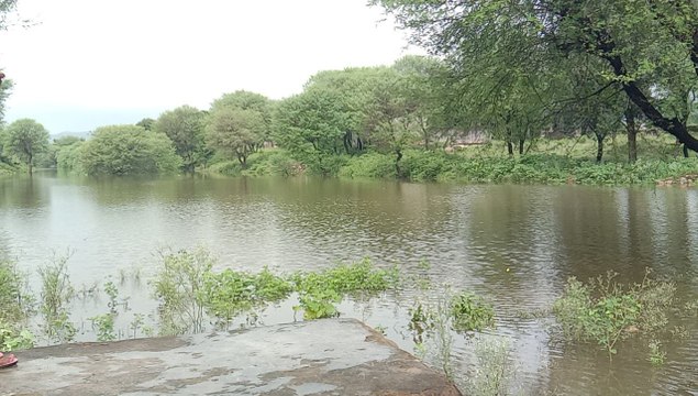 सकट में झमाझम बारिश से पलासन नदी में आया पानी, नारायणपुर तक पहुंचा