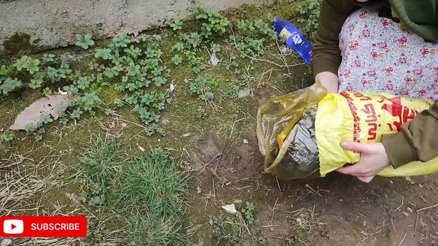 Iranian rural life / Cooking salmon on charcoal / Grilled fish