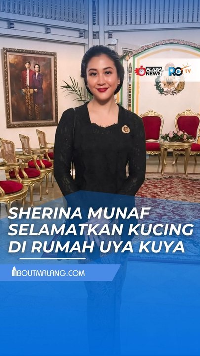 BEGINI KONDISI KUCING DI RUMAH UYA KUYA YANG DISELAMATKAN SHERINA MUNAF