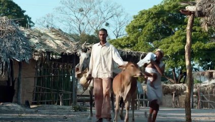 Vão das Almas | movie | 2023 | Official Trailer