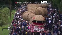 Giant bamboo snake parades through Japanese village