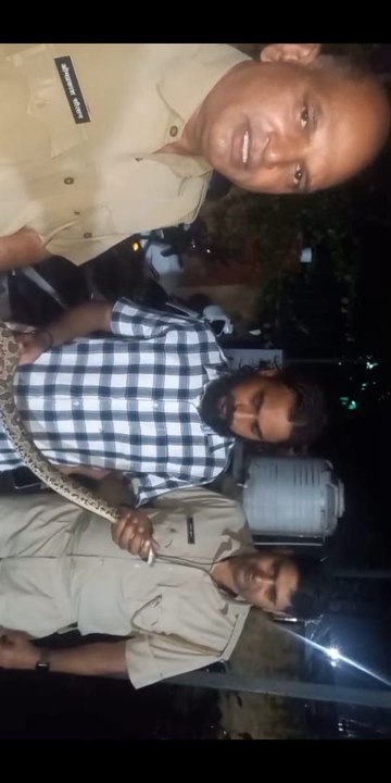 VIDEO: पुलिस कंट्रोल रूम में घुसा सांप, घबराए पुलिसकर्मी... देखें वीडियो