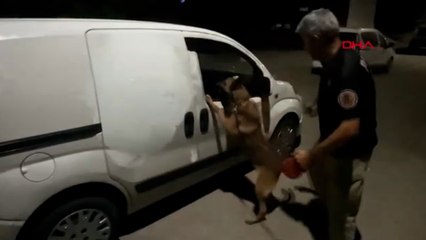 Araçtaki koltuğun altından 5 kilo esrar çıktı; ‘Kim koydu bilmiyoruz’ dedi