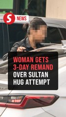 Woman who tried to hug Sultan Nazrin remanded for three days