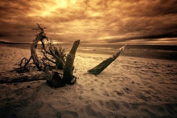 Tentative de KIDNAPPING à la plage...