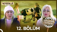 Ünlüler Çiftliği 12. Bölüm ¦ BANU ALKAN VE GÜLLÜ'NÜN İNEK SAĞMA KAVGASI