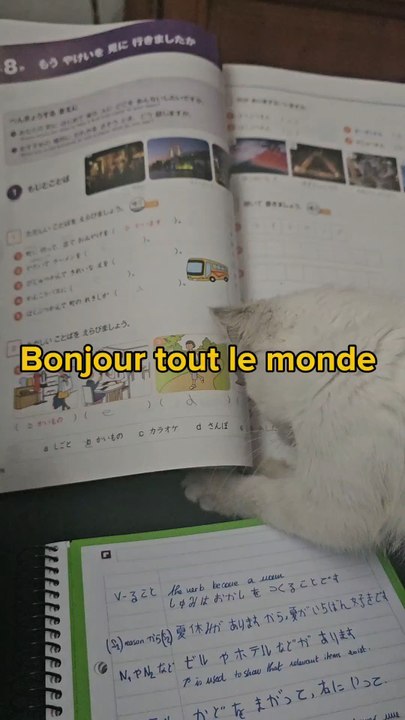 Petit journal de bord