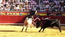 RESUMEN rejones palencia