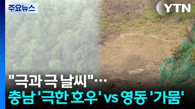 극과 극 날씨 ...충남 '극한 호우' vs 영동 '가뭄' / YTN