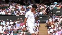 FOX Sports HD (SCTV, HTVC & VTVcab) | Wimbledon 2017 : Day 2