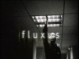 Fluxus.